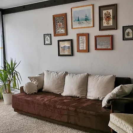 Gemütliches Ferienreihenhaus Mit Holzkamin Im Schwarzwald