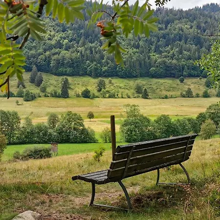 Gemütliches Ferienreihenhaus Mit Holzkamin Im Schwarzwald Сasa de vacaciones