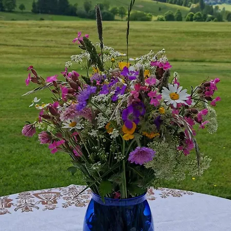 Gemütliches Ferienreihenhaus Mit Holzkamin Im Schwarzwald Bernau im Schwarzwald