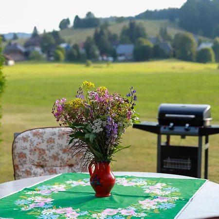 Сasa de vacaciones Gemütliches Ferienreihenhaus Mit Holzkamin Im Schwarzwald