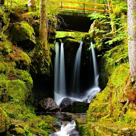 Gemütliches Ferienreihenhaus Mit Holzkamin Im Schwarzwald Сasa de vacaciones *