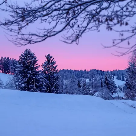 Gemütliches Ferienreihenhaus Mit Holzkamin Im Schwarzwald Bernau im Schwarzwald