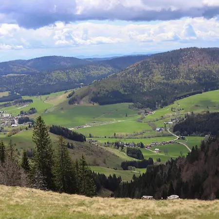 Сasa de vacaciones Gemütliches Ferienreihenhaus Mit Holzkamin Im Schwarzwald