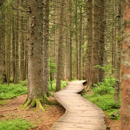 Gemütliches Ferienreihenhaus Mit Holzkamin Im Schwarzwald Сasa de vacaciones Bernau im Schwarzwald