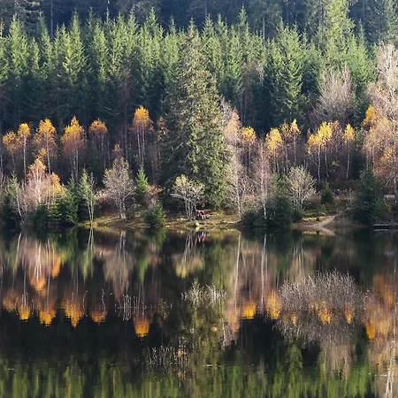 Сasa de vacaciones Gemütliches Ferienreihenhaus Mit Holzkamin Im Schwarzwald Bernau im Schwarzwald