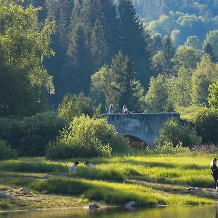 Gemütliches Ferienreihenhaus Mit Holzkamin Im Schwarzwald Bernau im Schwarzwald