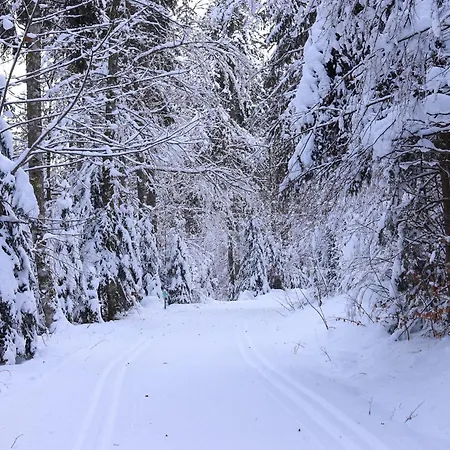 Gemütliches Ferienreihenhaus Mit Holzkamin Im Schwarzwald Сasa de vacaciones Bernau im Schwarzwald